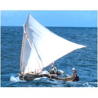 Carolinen3.jpg