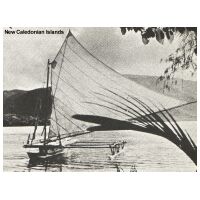Newcaledonian.jpg