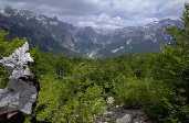 Albanische Bergwälder